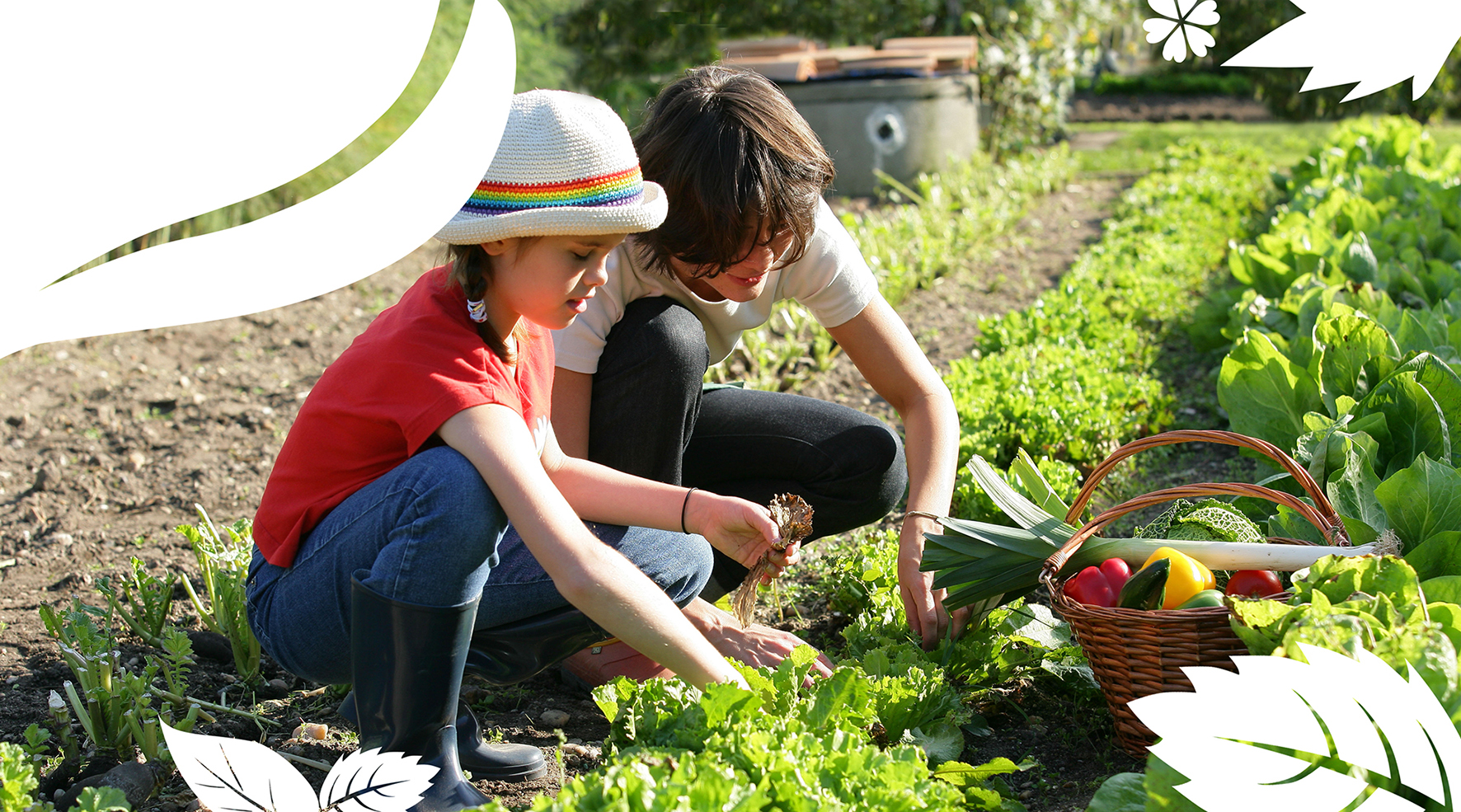 photo-intro-jardin-collaboratif