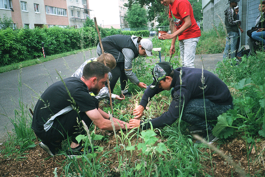 Plantation de maïs et de courges au lycée Gustave Eiffel printemps 2018.jpg plantation-mais-courges-g-eiffel